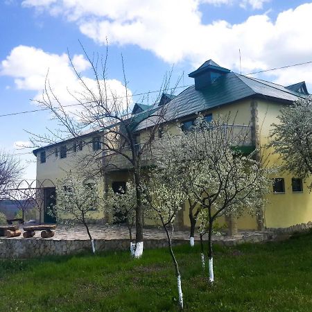Fata Verde Soldanesti 外观 照片